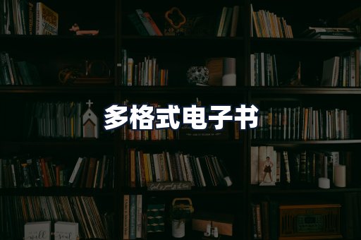 多格式电子书